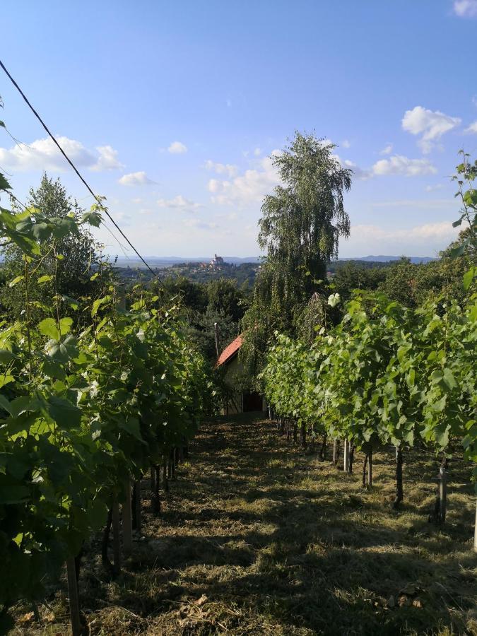Vikendica Sirec Villa Ptujska Gora Ngoại thất bức ảnh